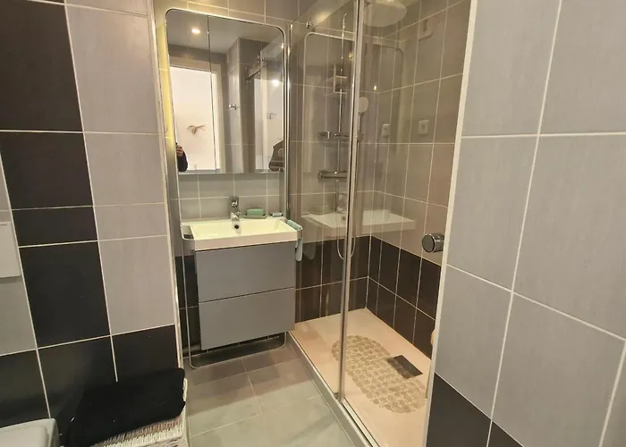 2 Pieces Avec Parking Et Piscine, Proche Du Centre-ville De - Fr-1-780-88 *